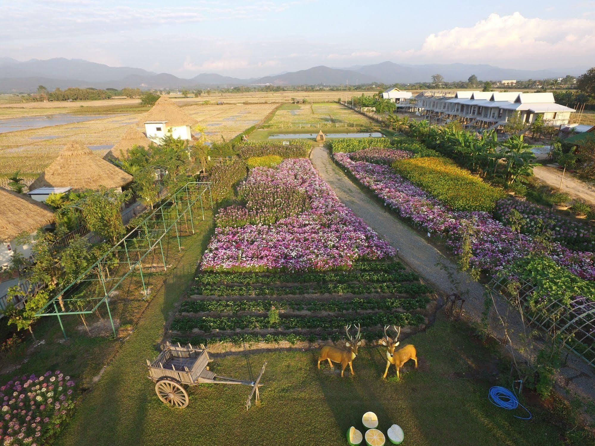 Phusanfah Resort Mae Taeng Zewnętrze zdjęcie